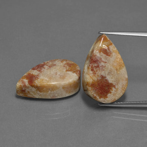 克拉天然化石珊瑚，梨形，不透明