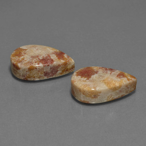 克拉天然化石珊瑚，梨形，不透明