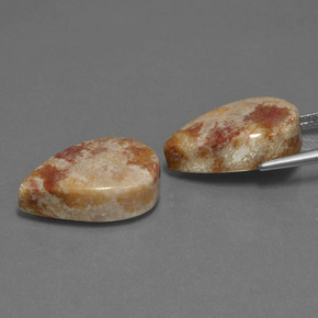 克拉天然化石珊瑚，梨形，不透明