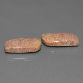 克拉天然珊瑚化石，异形，不透明