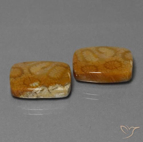 22.85克拉天然珊瑚化石，软垫，不透明