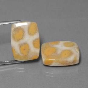 克拉天然珊瑚化石，垫形剪裁，不透明