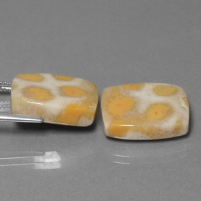 克拉天然珊瑚化石，垫形剪裁，不透明