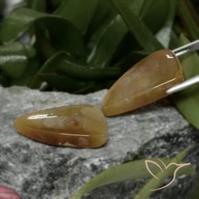 22.09克拉天然珊瑚化石，花式切割，不透明