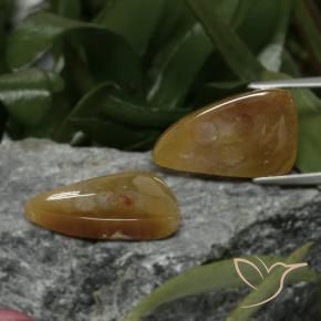 22.09克拉天然珊瑚化石，花式切割，不透明