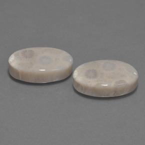 克拉天然珊瑚化石，椭圆形切割，不透明