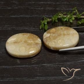 33.11克拉天然珊瑚化石，椭圆形，不透明
