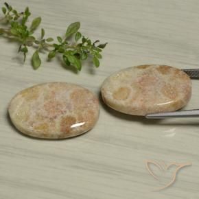 29.97克拉天然珊瑚化石，椭圆形，不透明