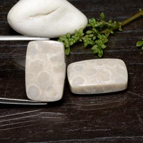 25.59克拉天然珊瑚化石，垫形剪裁，不透明