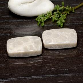 25.59克拉天然珊瑚化石，垫形剪裁，不透明