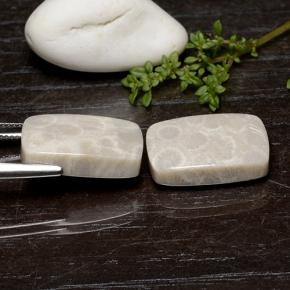 25.59克拉天然珊瑚化石，垫形剪裁，不透明