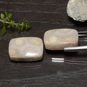 25.01克拉天然珊瑚化石，垫形剪裁，不透明