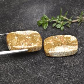 16.41克拉天然化石珊瑚，垫形剪裁，不透明