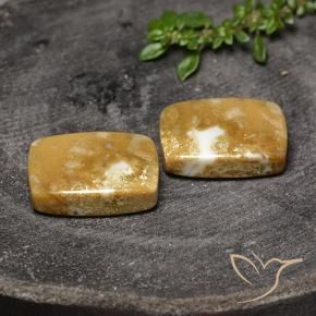 30.80克拉天然珊瑚化石，软垫，不透明