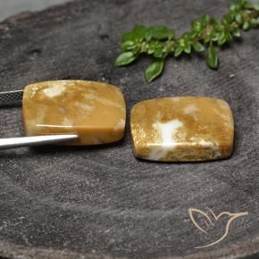 30.80克拉天然珊瑚化石，软垫，不透明