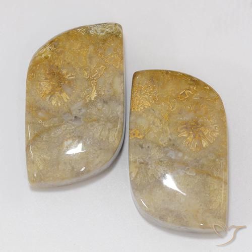 18.02ctw 天然 彩色 珊瑚化石, 花式切割, 不透明