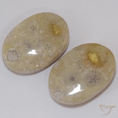 21.60克拉天然珊瑚化石，椭圆形，不透明