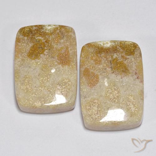 31.35ctw 天然 彩色 珊瑚化石, 软垫, 不透明