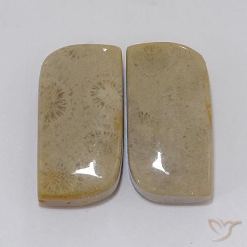 22.46ctw 天然 彩色 珊瑚化石, 花式切割, 不透明