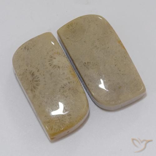 22.46克拉天然珊瑚化石，花式切割，不透明