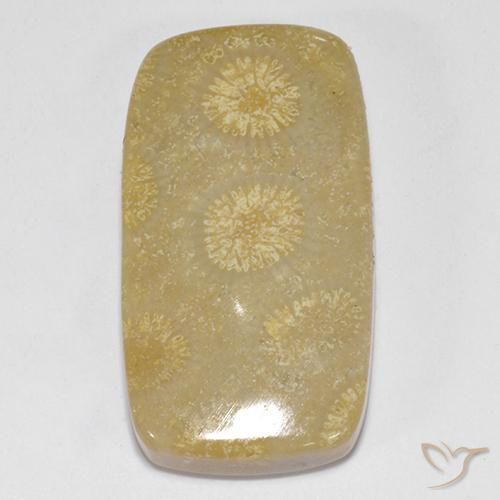 14.52ct 天然 彩色 珊瑚化石, 软垫, 不透明