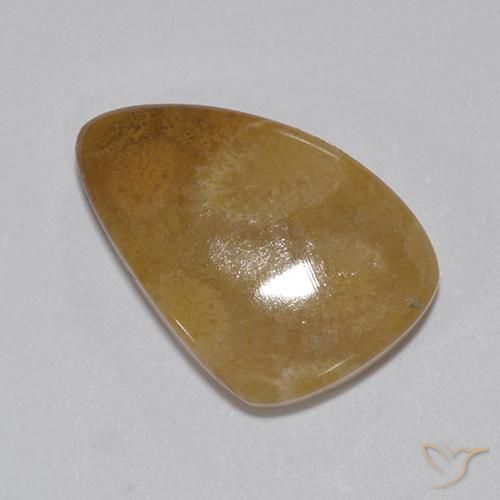 8.15ct 天然 彩色 珊瑚化石, 花式切割, 不透明
