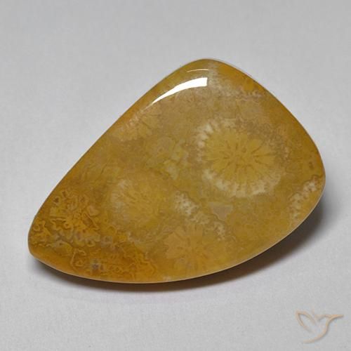 9.42ct 天然 彩色 珊瑚化石, 花式切割, 不透明