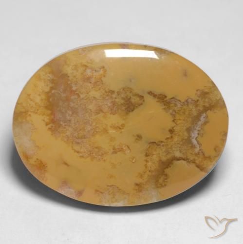 12.65ct 天然 彩色 珊瑚化石, 椭圆形, 不透明