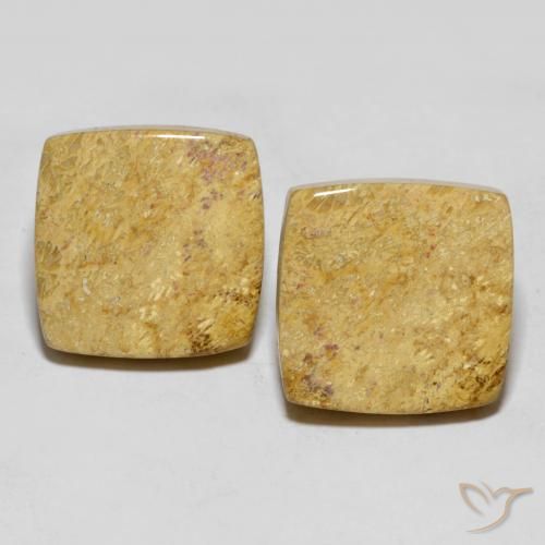 30.55ctw 天然 彩色 珊瑚化石, 软垫, 不透明