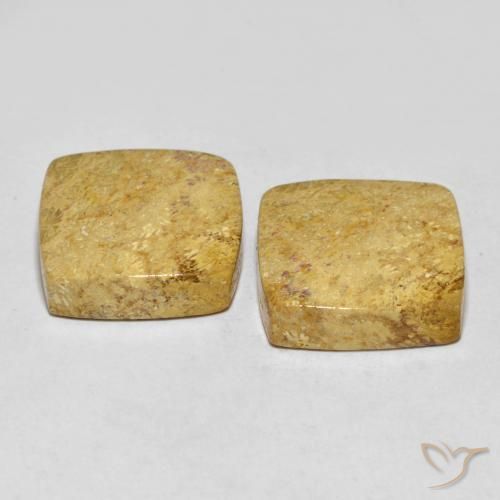 30.55克拉天然珊瑚化石，软垫，不透明