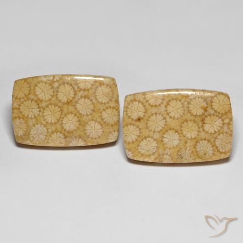 27.38克拉天然珊瑚化石，垫形剪裁，不透明