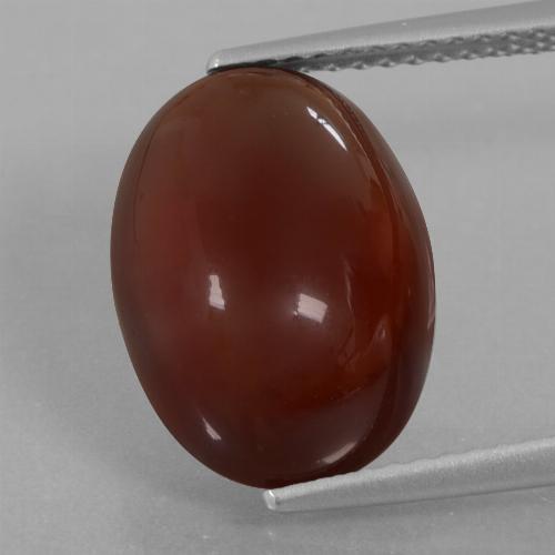 8.05克拉天然棕色桂榴石，椭圆形切割，13.9×10毫米，半透明