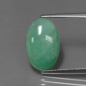 5.96克拉天然绿色硬玉，椭圆形切割，15.6×10毫米，不透明