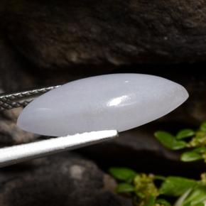 5.21克拉天然灰色硬玉，马眼形，18.2×7.7毫米，半透明