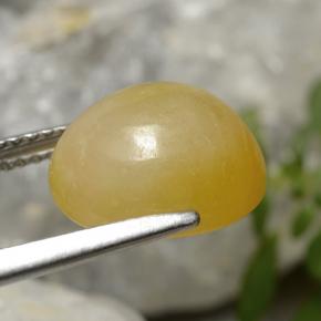 7.08克拉天然翡翠，椭圆形切割，半透明