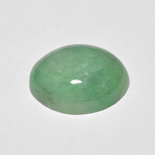 5.09克拉天然绿色硬玉，椭圆形切割，12.5×10.2毫米，不透明