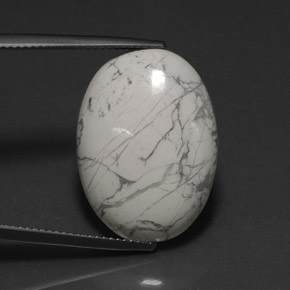 16.58克拉天然多色碧玉，椭圆形切割，22.9×16.6毫米，不透明