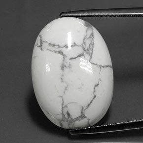 16.90克拉天然多色碧玉，椭圆形切割，22.6×16.2毫米，不透明