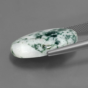 17.10克拉天然碧玉，椭圆形切割，不透明