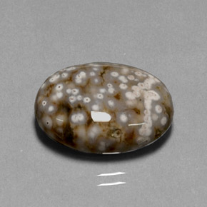 13.68克拉天然多色碧玉，椭圆形切割，18.9×14.3毫米，不透明