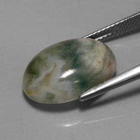 9.17克拉天然多色碧玉，透明，16.7×12.3毫米，透明/半透明
