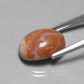 9.66克拉天然碧玉，椭圆形切割，不透明