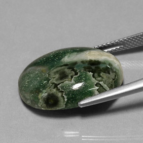 13.88克拉天然多色碧玉，椭圆形切割，20.2×15.2毫米，不透明