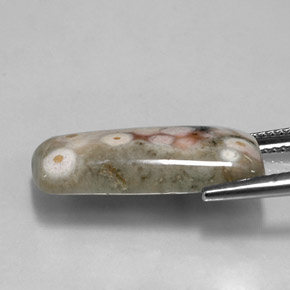 9.46克拉天然多色碧玉，异形，21.2×11毫米，不透明