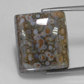 23.65克拉天然多色碧玉，方形，18.8×16.7毫米，不透明