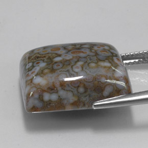 23.65克拉天然多色碧玉，方形，18.8×16.7毫米，不透明