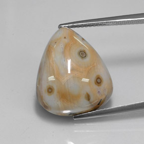 15.02克拉天然多色碧玉，梨形，18.9×16毫米，不透明