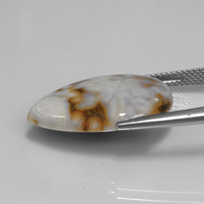 11.87克拉天然多色碧玉，梨形，22.5×16.7毫米，不透明