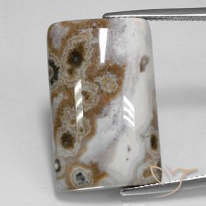 23.24ct 天然 彩色 碧玉, 狭长方形, 不透明