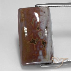 26.45ct 天然 彩色 碧玉, 狭长方形, 不透明